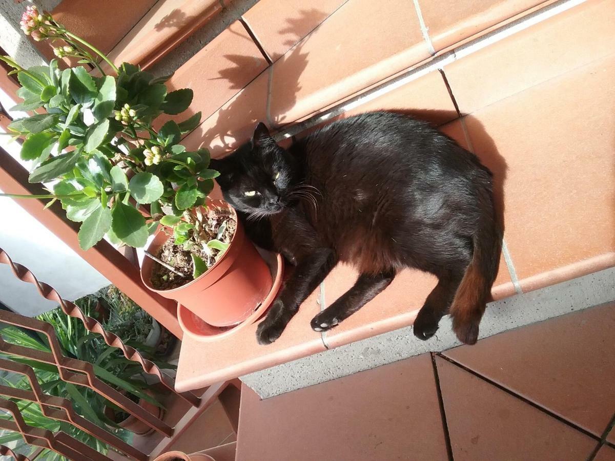 Appartamento Relax Terni Exterior foto